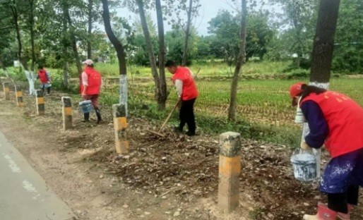 五村联动齐发力 金李沿线展新颜